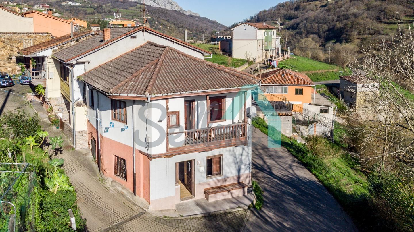 Vista exterior de Casa o xalet en venda en Riosa amb Jardí privat i Terrassa