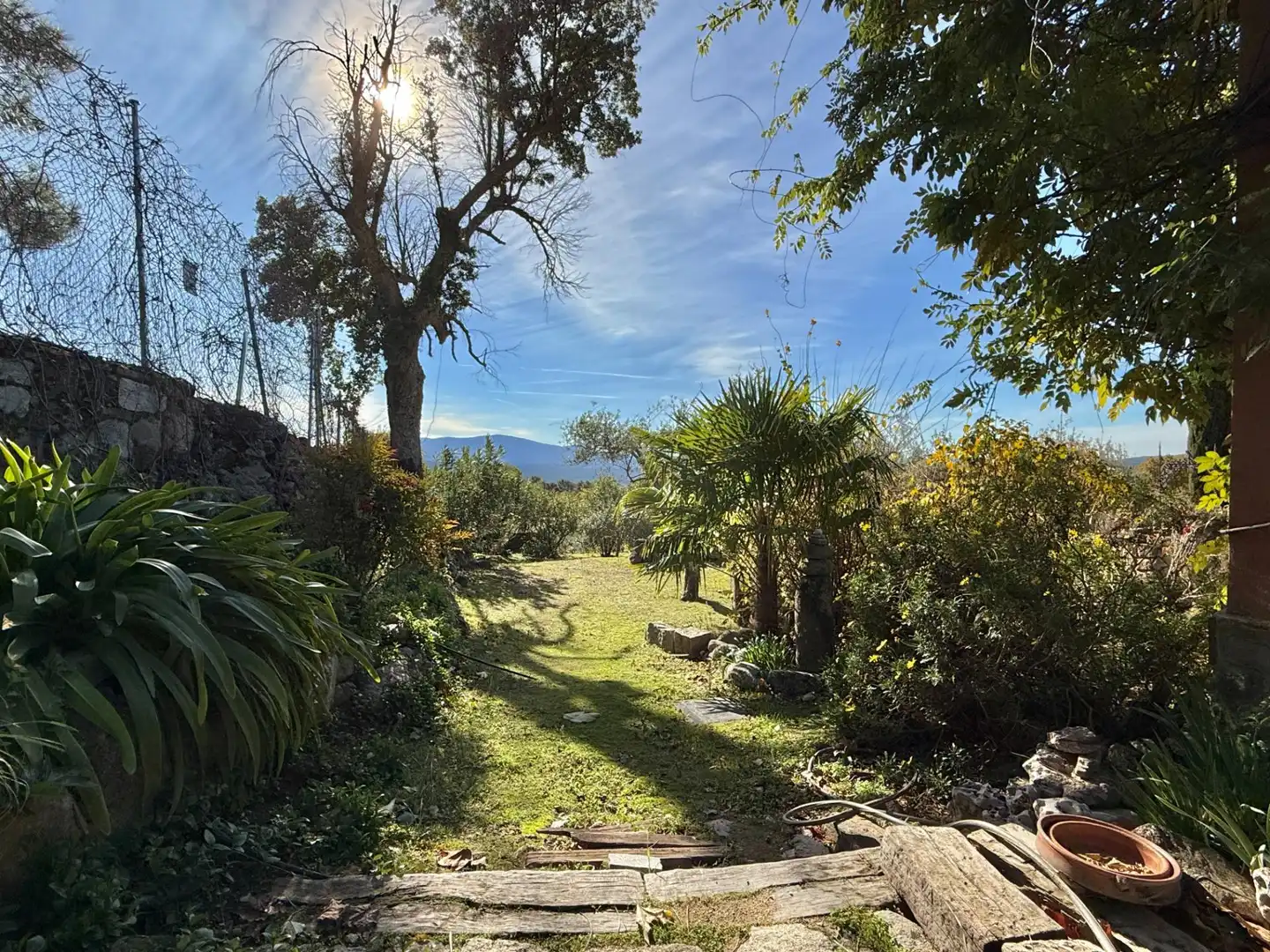 Jardín de Finca rústica en venta en Piedralaves con Jardín privado, Terraza y Trastero