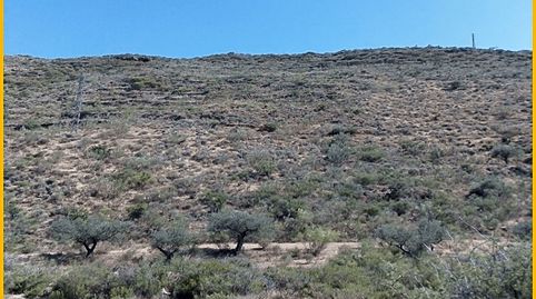 Este terreno se encuentra en pago del rio alto, 18480, Ugíjar, Granada. Es un terreno que tiene 2680 m2 .



Inmobiliaria líde, imatge 4