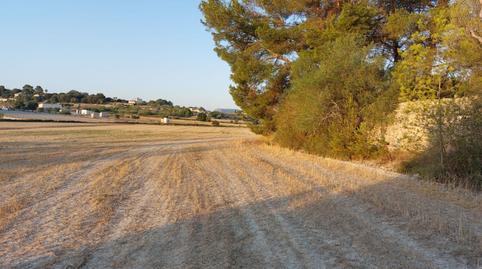Foto 3 de Finca rústica en venda a Lloret de Vistalegre, Illes Balears