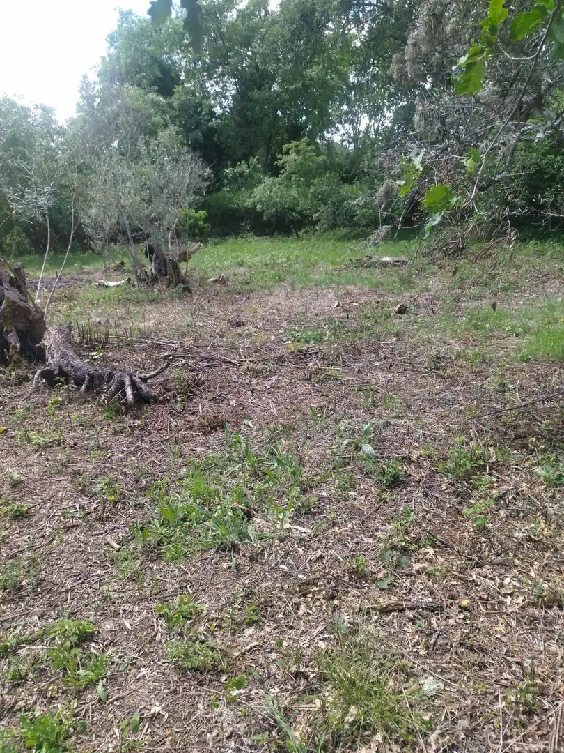Terreni e lotti in vendita a Villanueva de la Vera, imagen 30