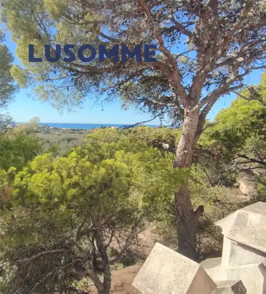 Casa o xalet en venda en Villajoyosa / La Vila Joiosa amb Jardí privat, Terrassa i Piscina