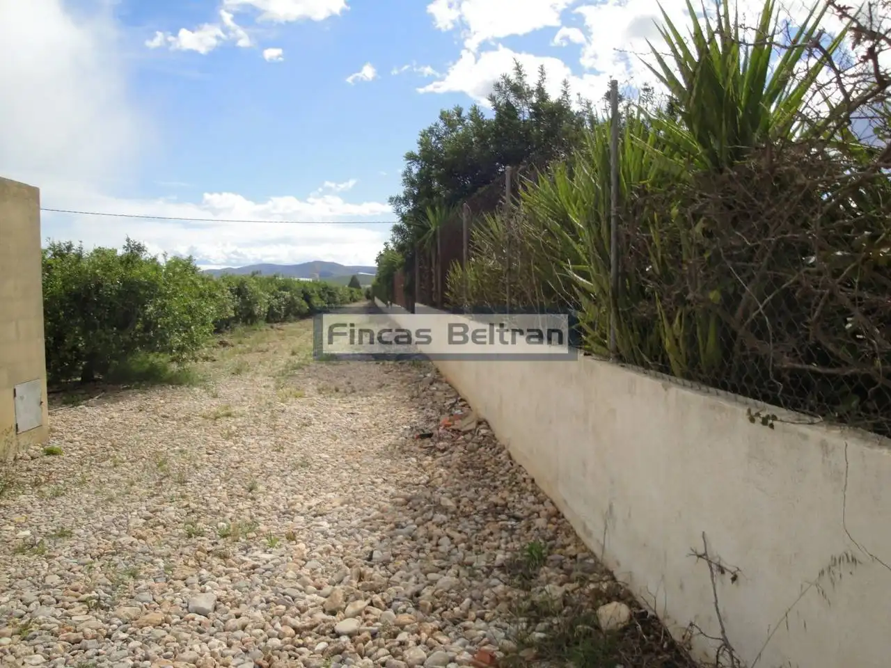 Rural land for sale in Poligono 18, PARCELA 153, imagen 6