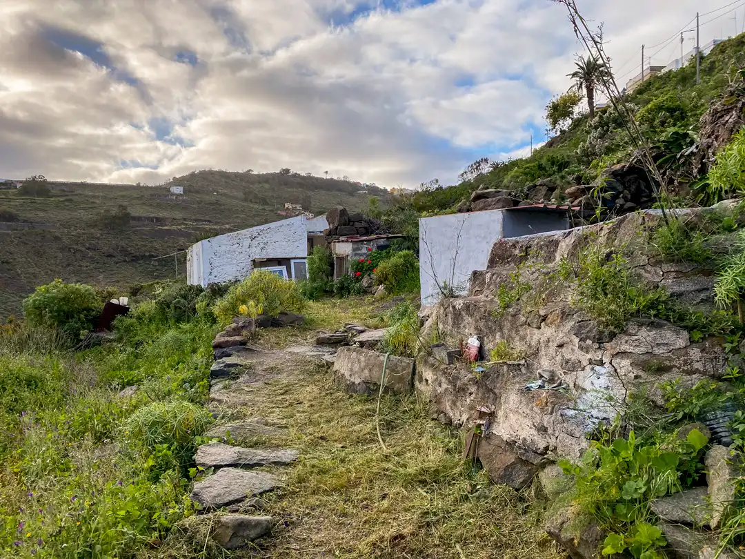 Vista exterior de Finca rústica en venta en Moya (Las Palmas)