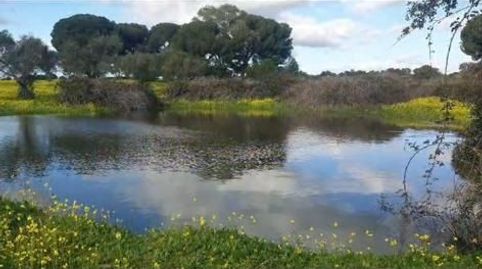 BRICKASA INMOBILIARIA les ofrece, La finca de 25 hectáreas que se sitúa a tan solo 20 minutos de Cáceres se presenta como un oasis