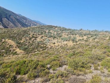 Terreno rustico in vendita a Pinos Genil