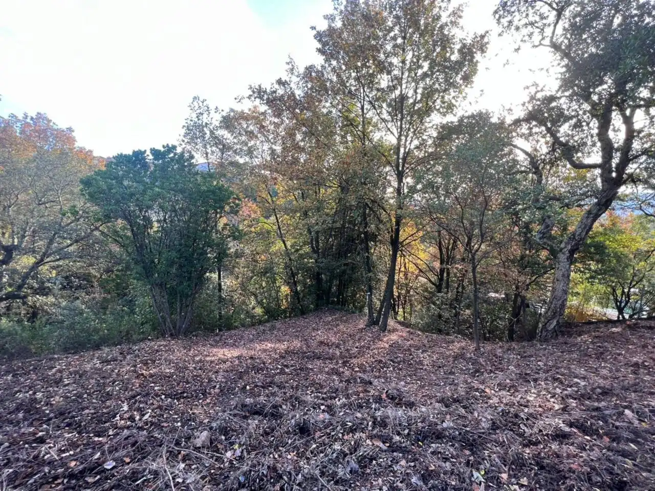 Terreno rustico in vendita a Calle Riells I Viabrea, imagen 7
