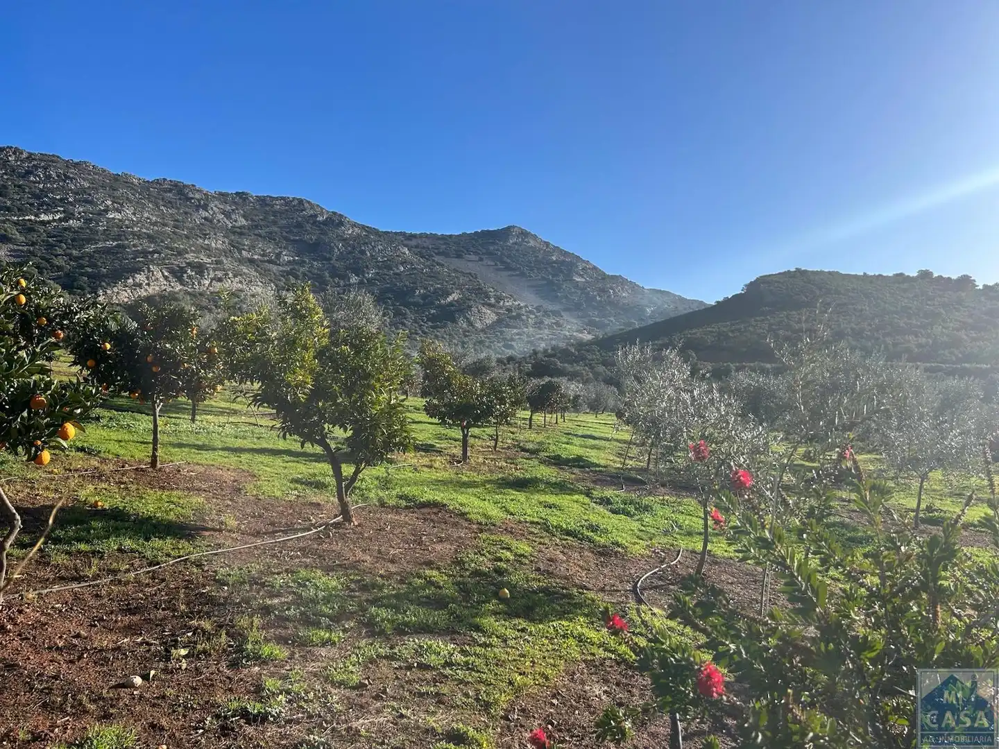 Casa o chalet en venta en Alange con Aire acondicionado, Calefacción y Terraza