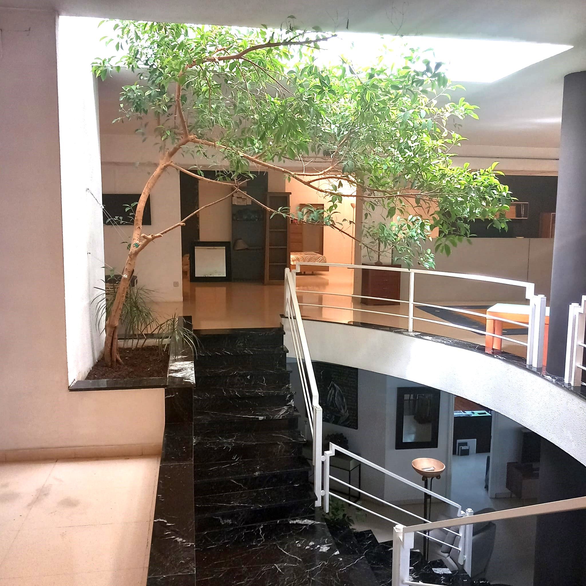 Local en venda a Carrer del Músic Martínez Valls, Sant Josep - Zona Hospital