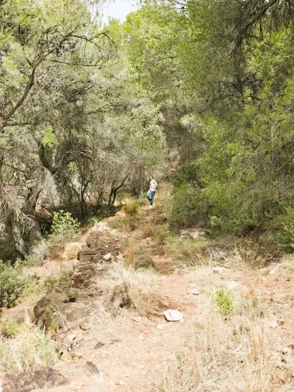 Wohnbaugrundstück zum Verkauf in Carrer Canteres 18, imagen 12
