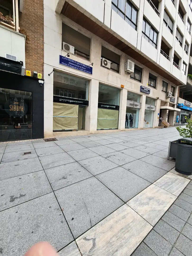Local comercial en alquiler en Calle San Pedro de Alcántara, imagen 2