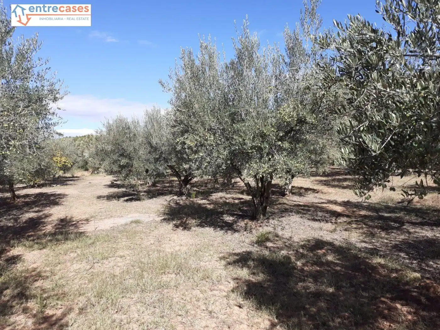 Terreno rustico in vendita a Segorbe, imagen 9