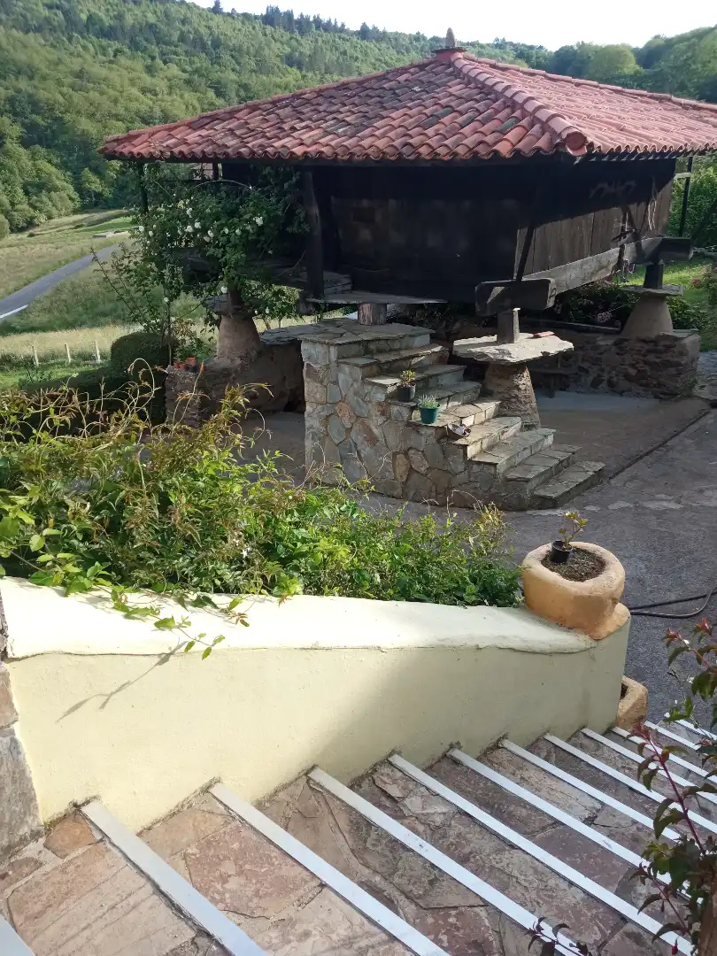 Terraza de Finca rústica en venta en Tineo con Jardín privado, Parquet y Terraza
