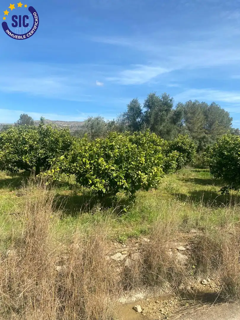 Rural land for sale in Partida Rebols, imagen 4