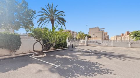 Foto 4 de Planta baja en venta en Avenida Costa Blanca, Los Arenales del Sol, Elche / Elx