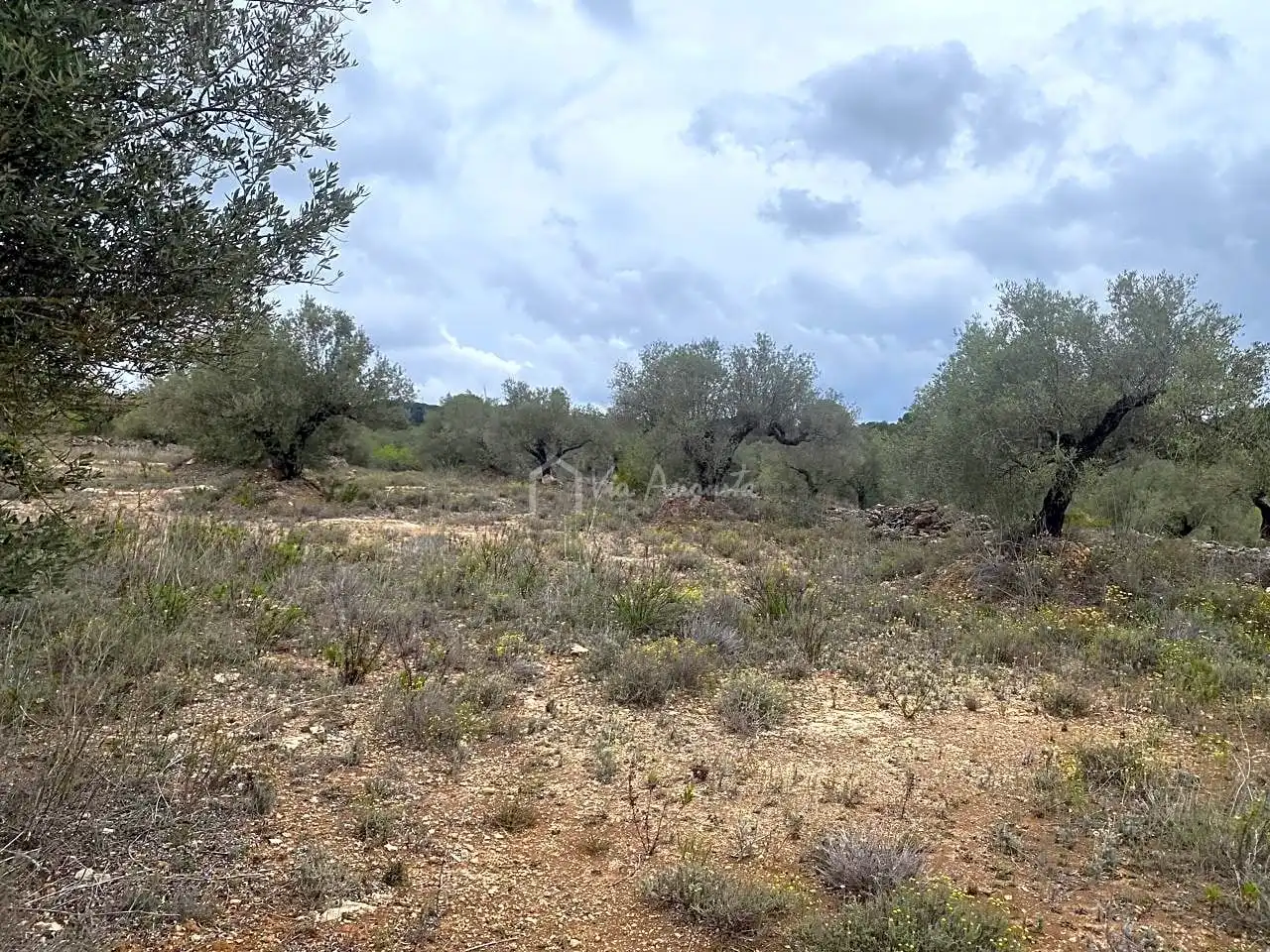 Terreno rustico in vendita a Burga, imagen 4