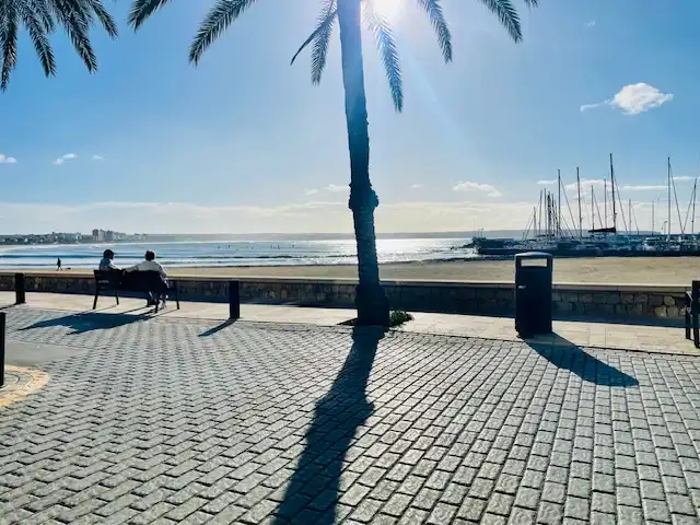 Vista exterior de Casa o xalet en venda en  Palma de Mallorca amb Terrassa, Rentadora i Alarma