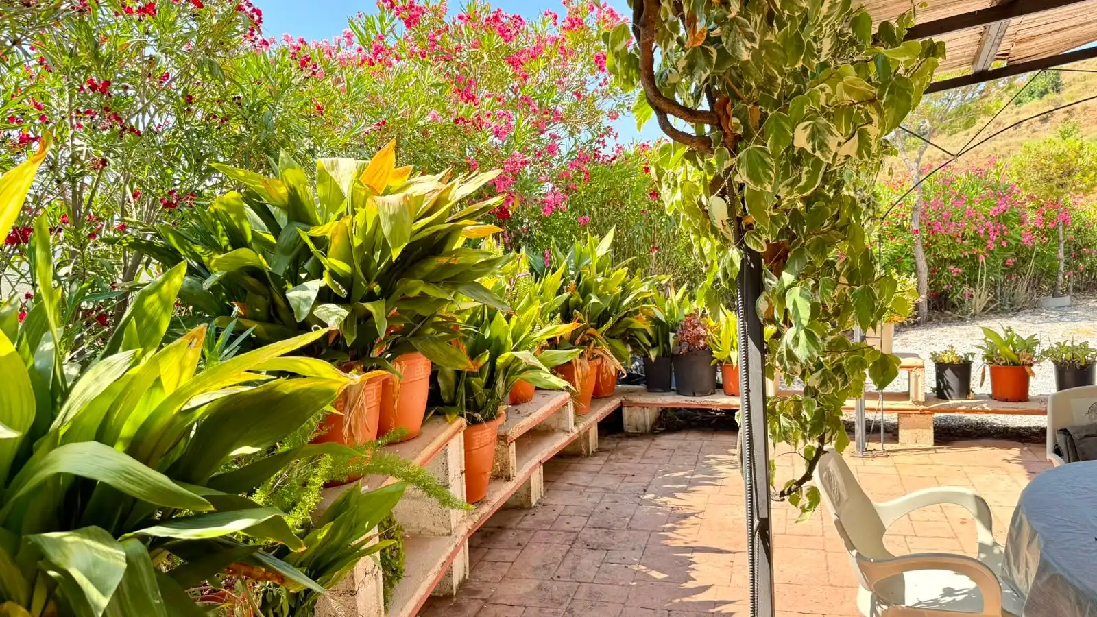 Terrassa de Casa o xalet en venda en Sedella amb Aire condicionat, Jardí privat i Terrassa