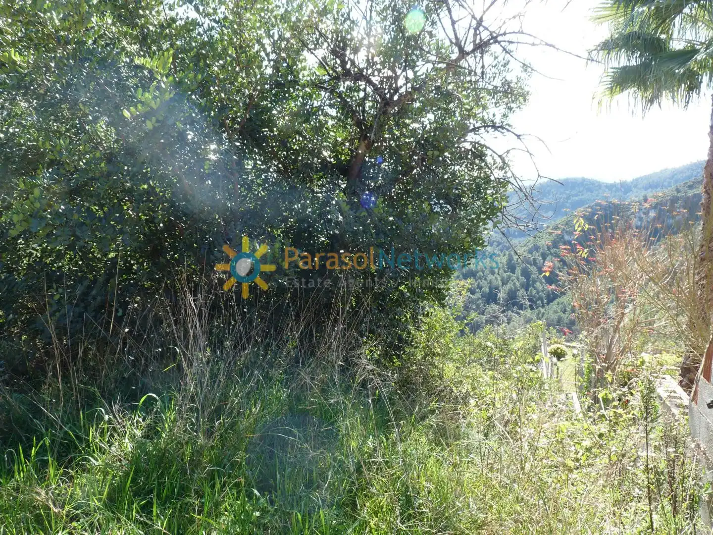 Terreno residencial en venta en Oliva pueblo, imagen 3