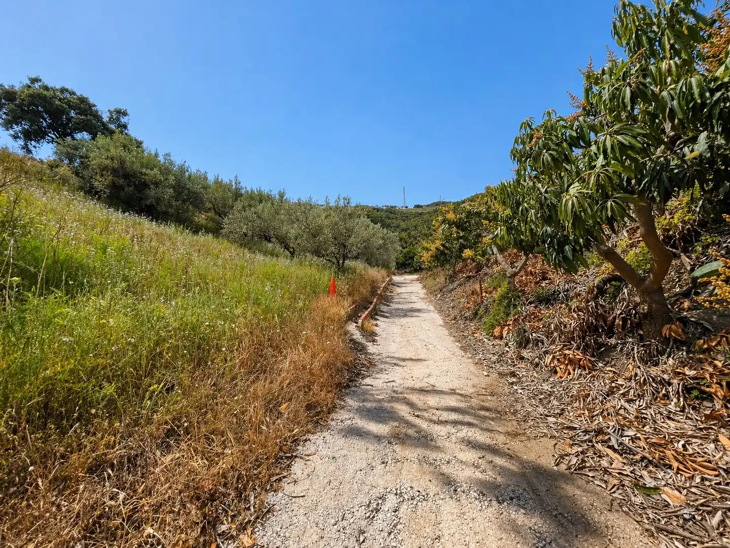 Außenansicht von Grundstücke zum Verkauf in Torrox