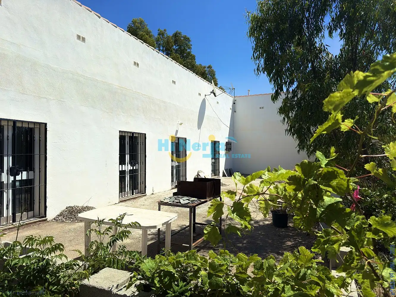 Vista exterior de Finca rústica en venta en Vélez-Málaga