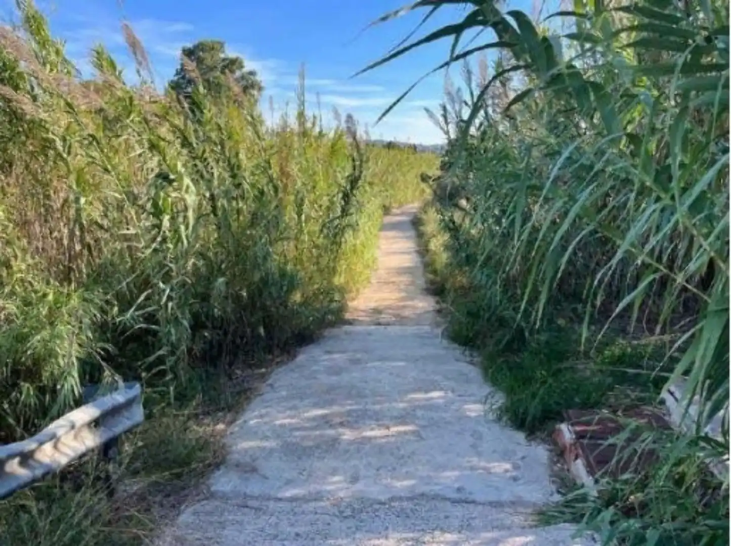 Terreno residenziale in vendita a Paraje Palmar O Alberca, imagen 2