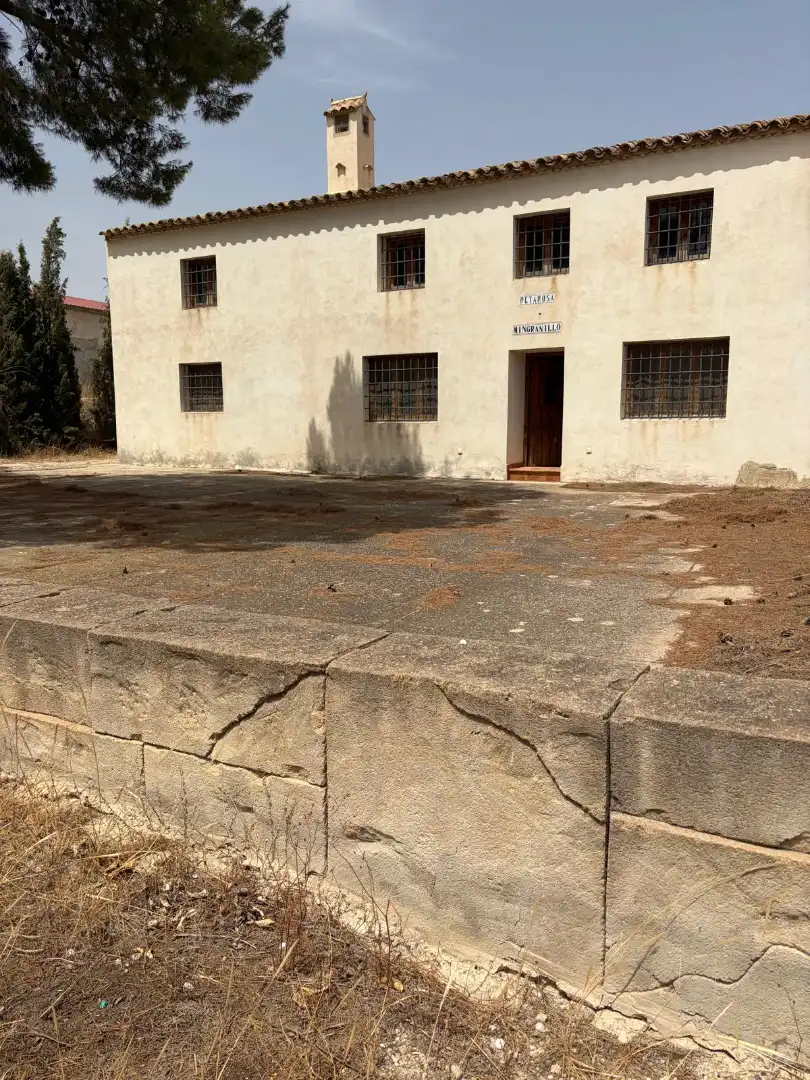 Lands and plots for sale in Mula, imagen 2