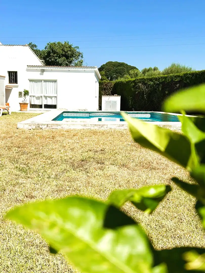Piscina de Finca rústica en venda en Estepona amb Jardí privat, Terrassa i Piscina
