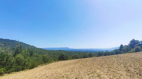 FINCA RUSTICA EN VENTA EN PANILLO