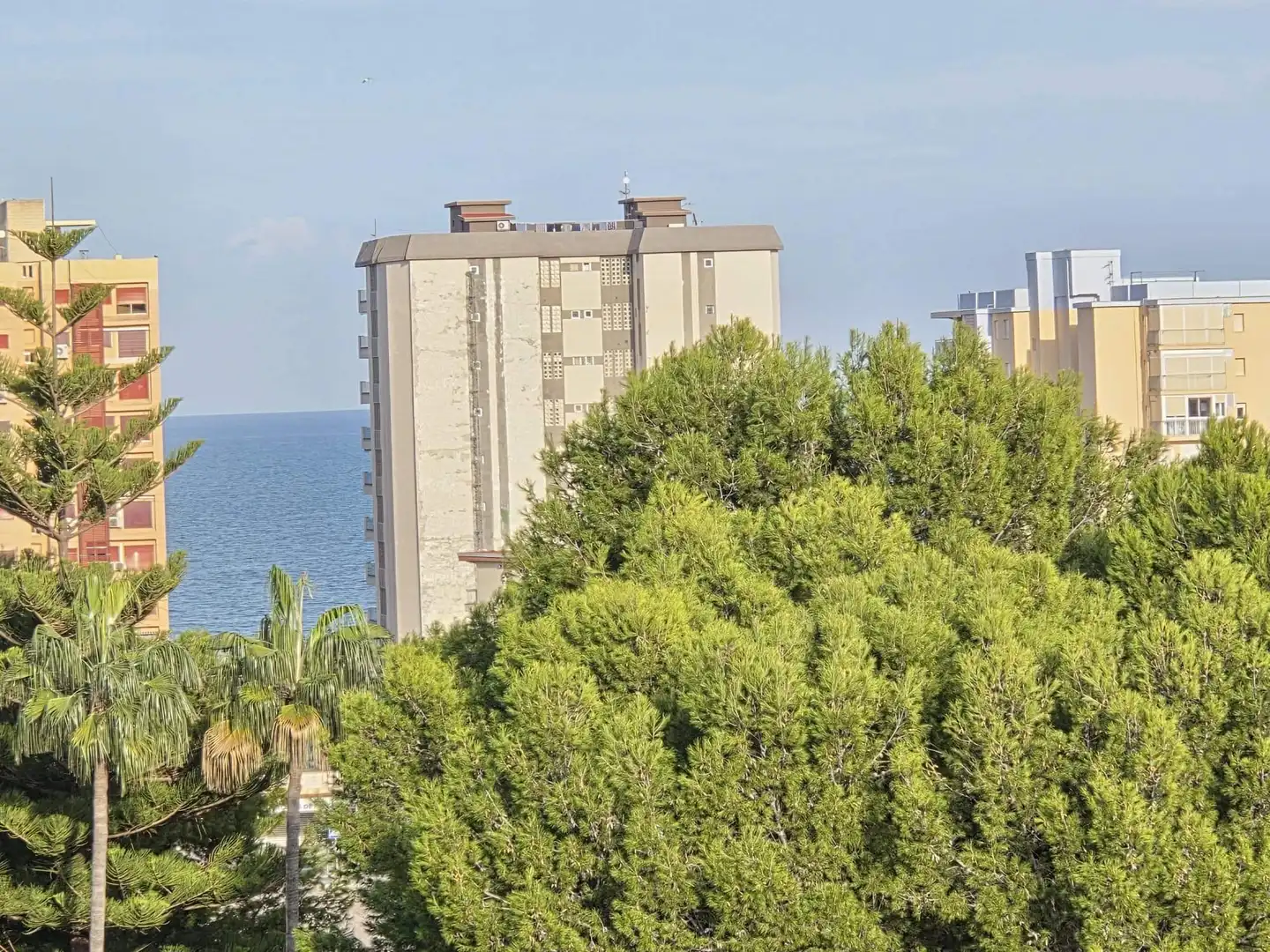 Vista exterior de Àtic en venda en Gandia amb Calefacció, Jardí privat i Terrassa