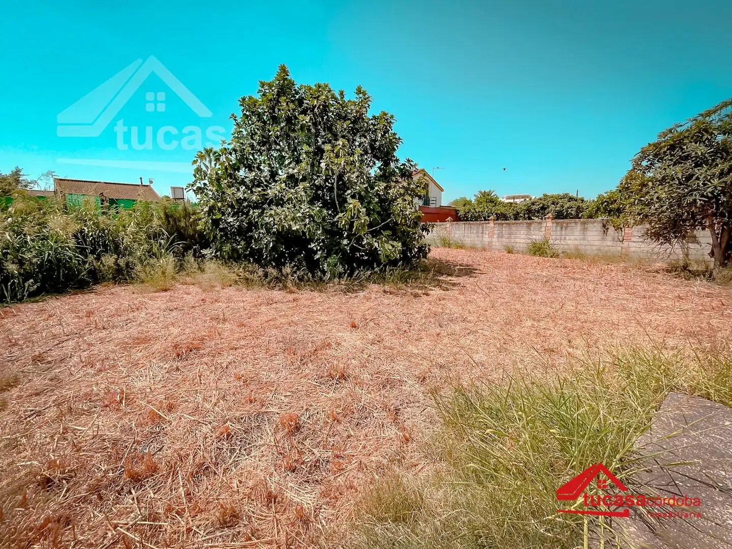 Finca rústica en venda en Córdoba amb Aire condicionat, Terrassa i Traster