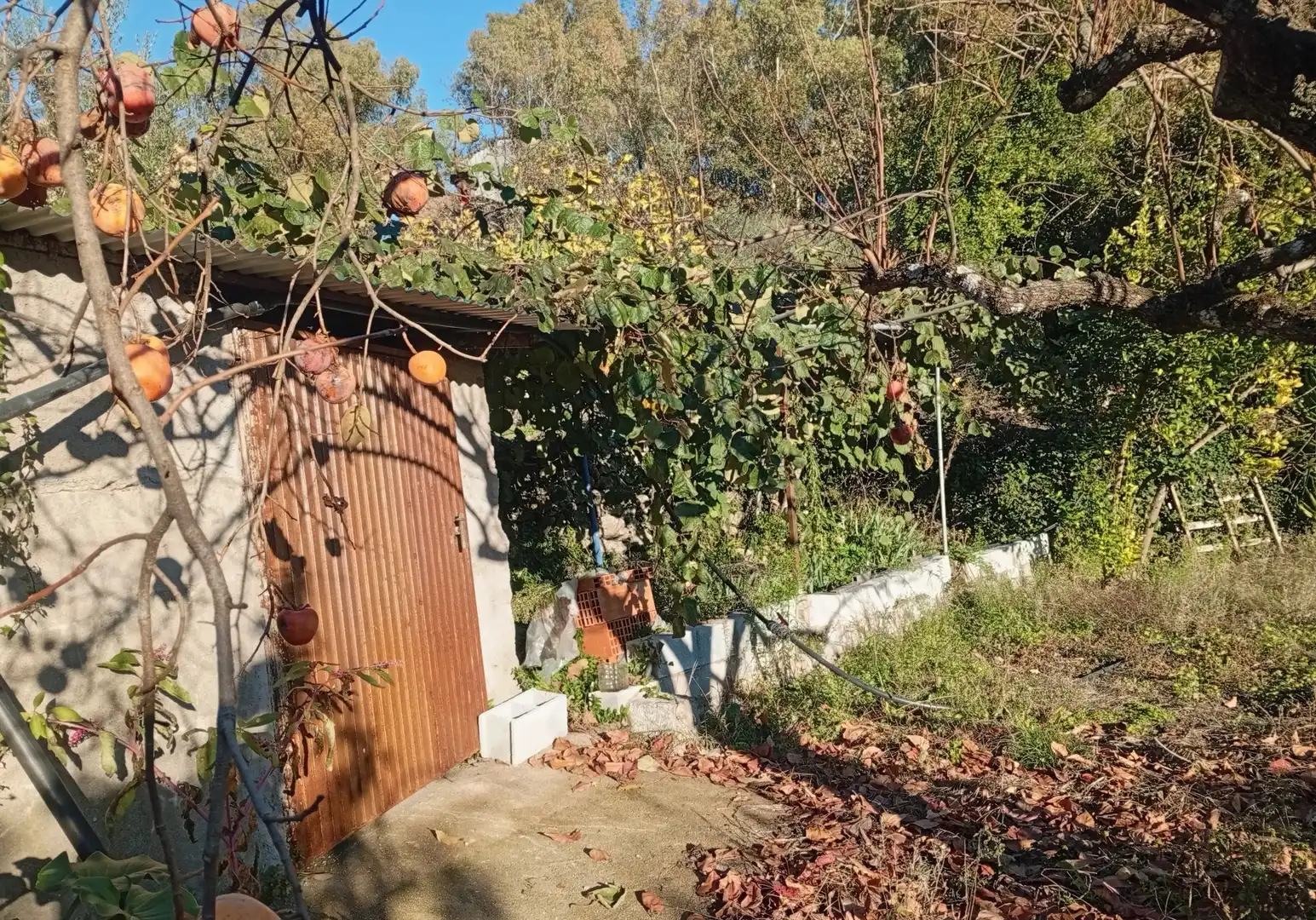 Terreni e lotti in vendita a Villanueva de la Vera, imagen 22