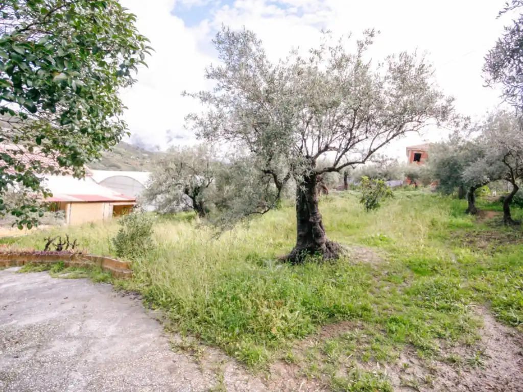 Finca rústica en venda en Tolox