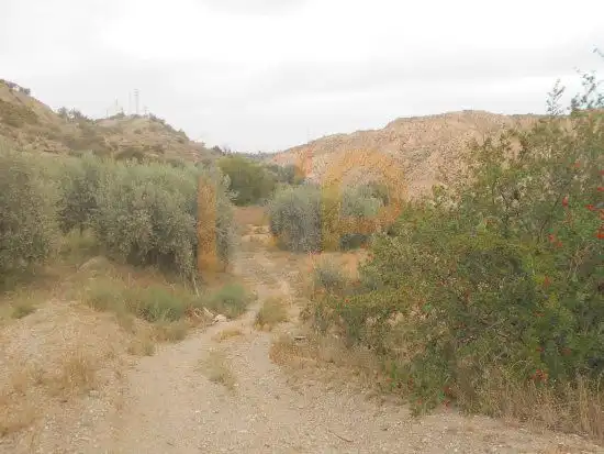 Terrain rustique à vendre à Huércal-Overa, imagen 10