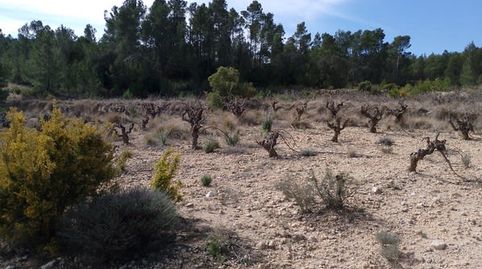Solvia Inmobiliaria  Nave Industrial Requena, imatge 5