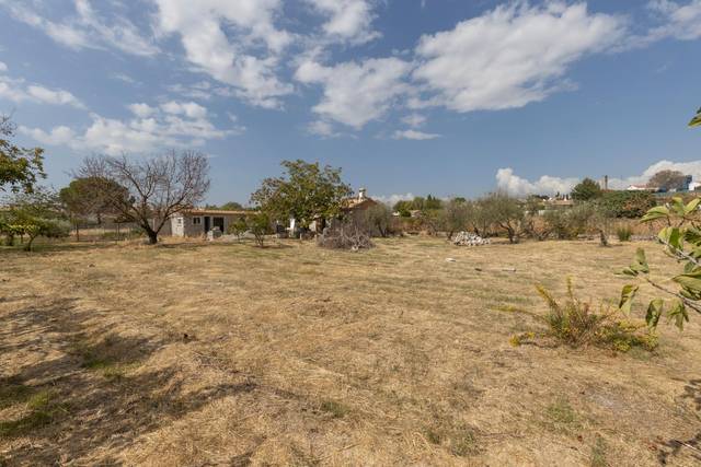 Finca rústica en Venta en Peligros