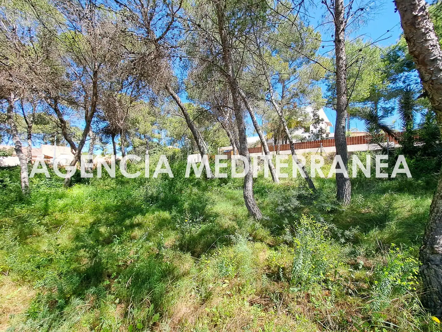Terreny residencial en venda a La Cañada, imagen 11