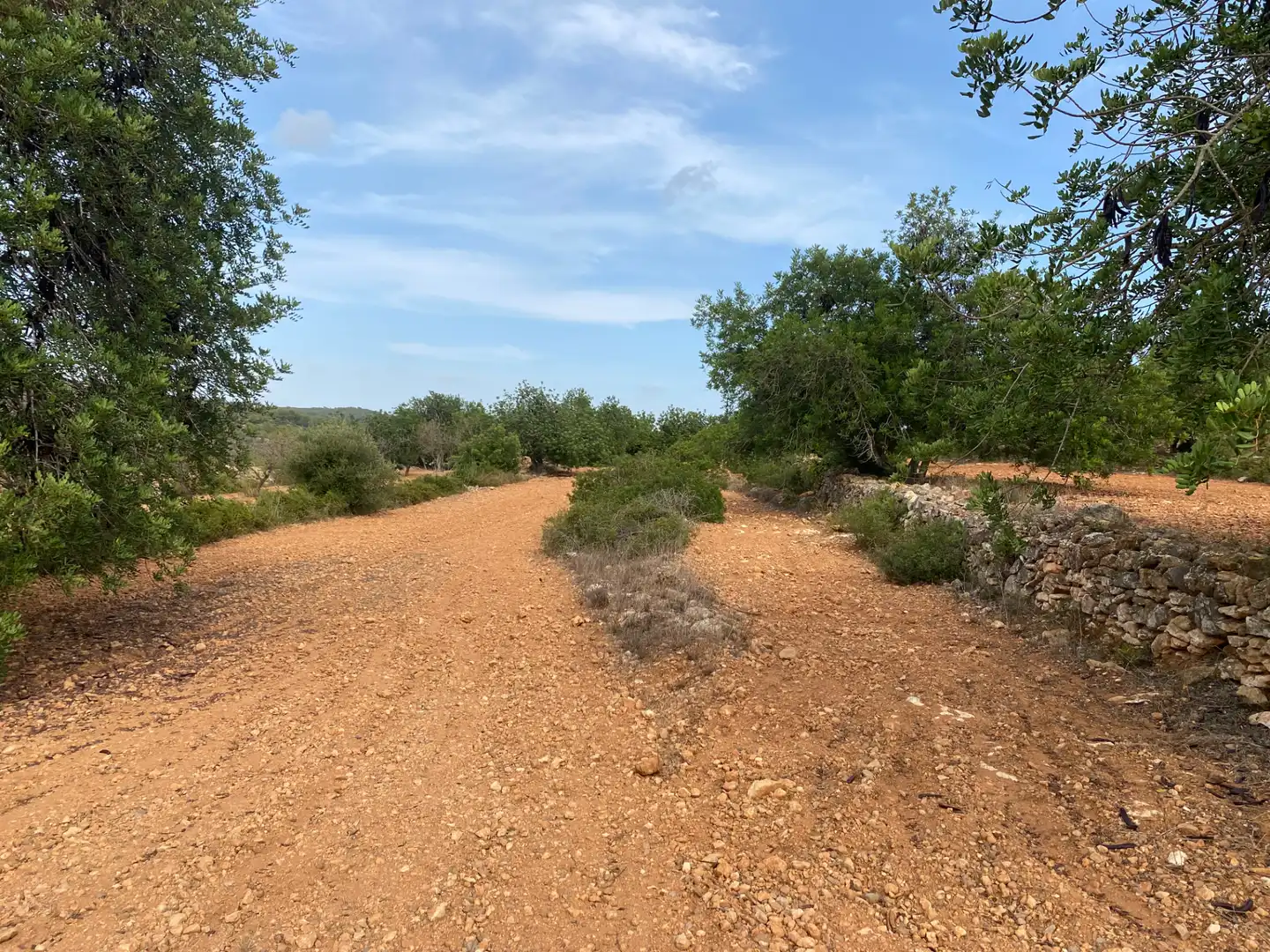 Terrain rustique à vendre à Carrer Camí de Montferri, imagen 6