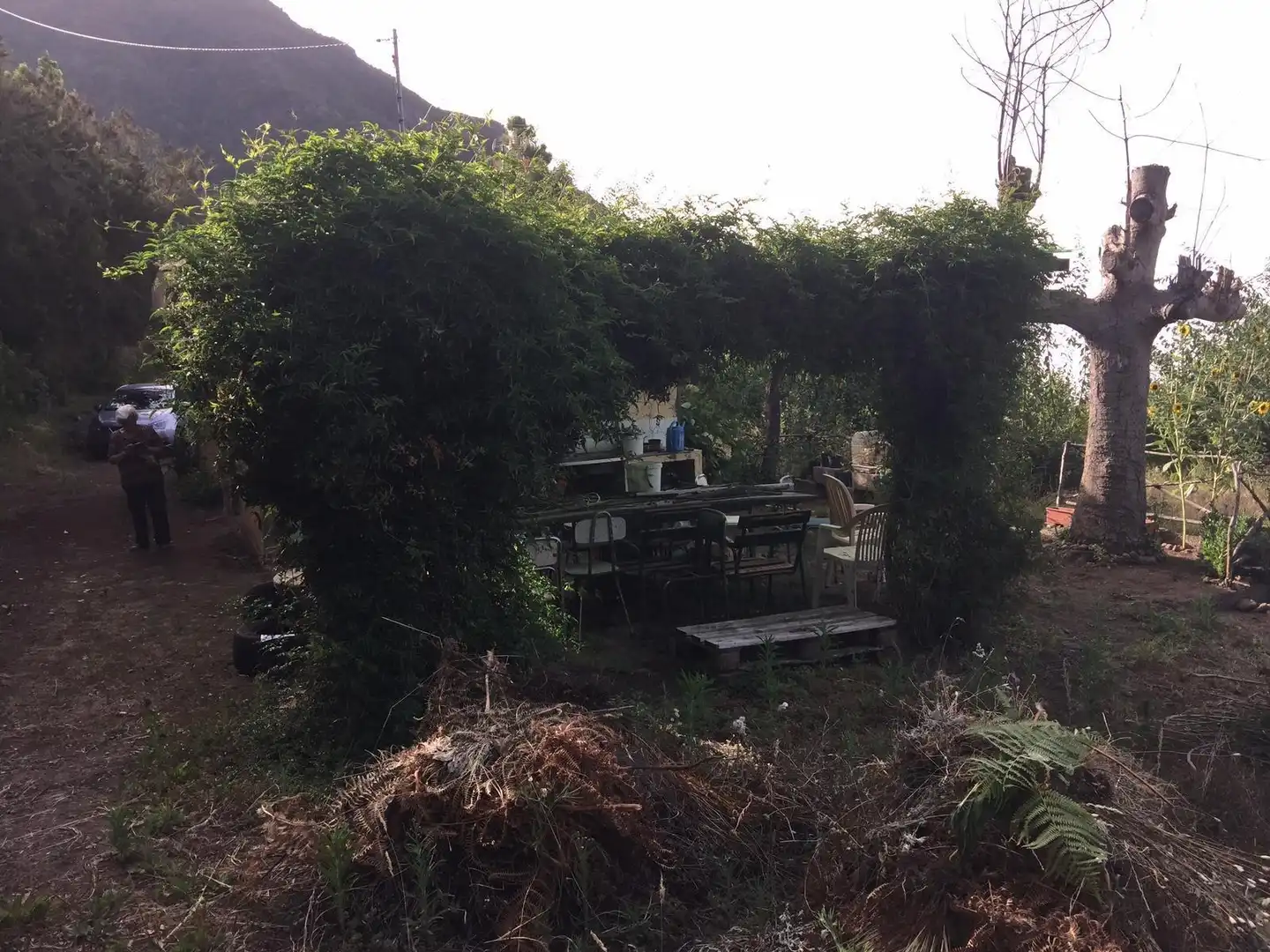 Jardín de Finca rústica en venta en Los Realejos