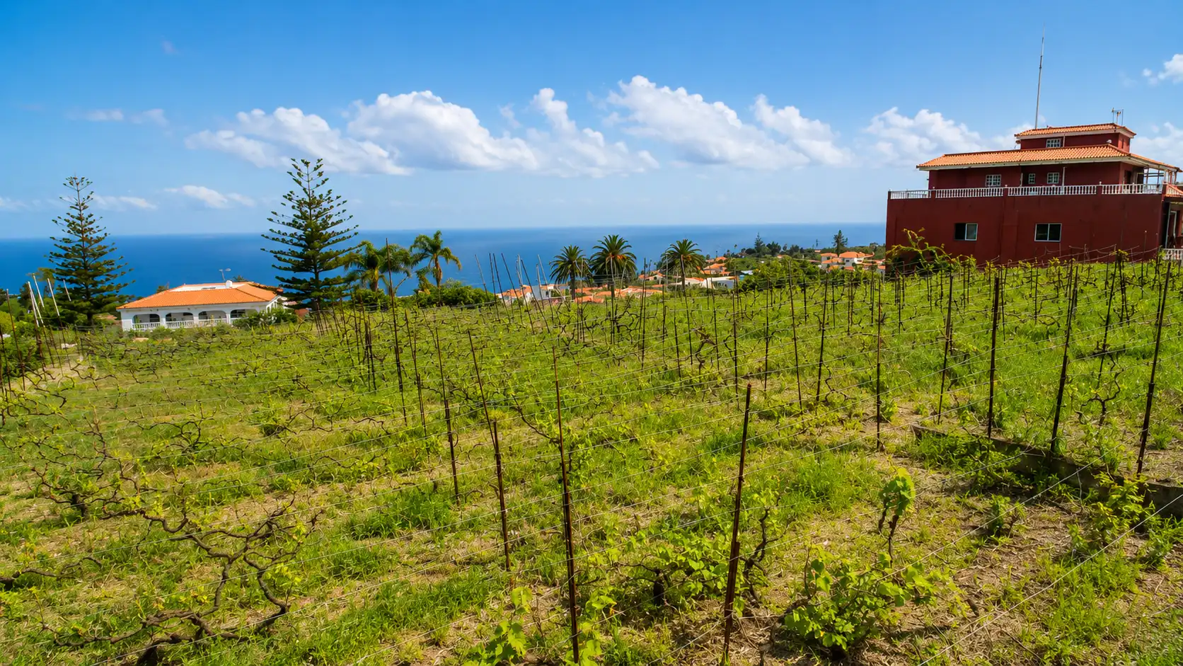Finca rústica en venda en Santa Úrsula