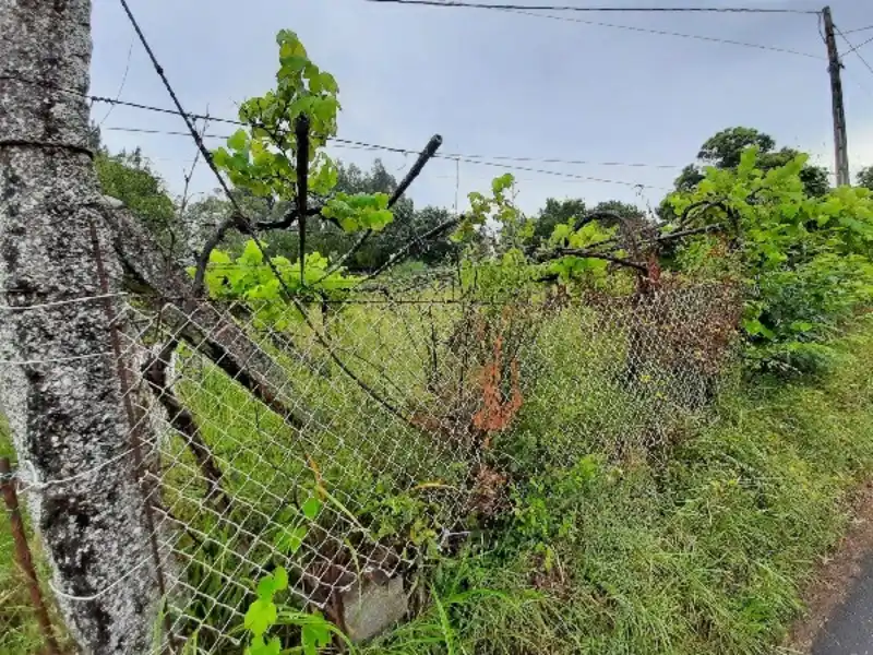 Terreny residencial en venda a Barro, imagen 7