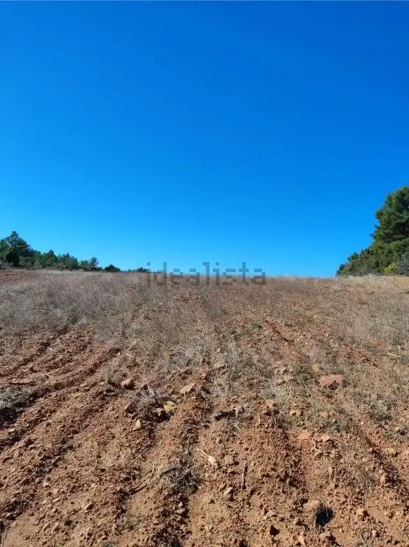 Finca rústica en venta en Zucaina