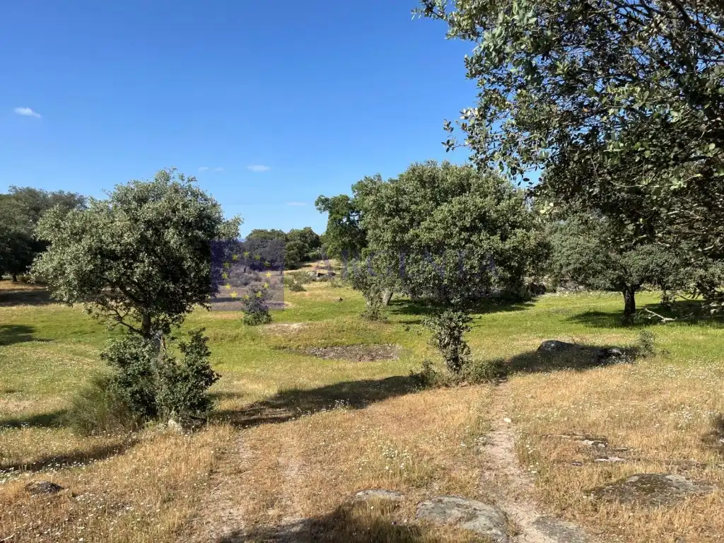 Houses for sale in Poligono 19 Paraje 668 Marrada De La Sociedad, Estación Arroyo Malpartida