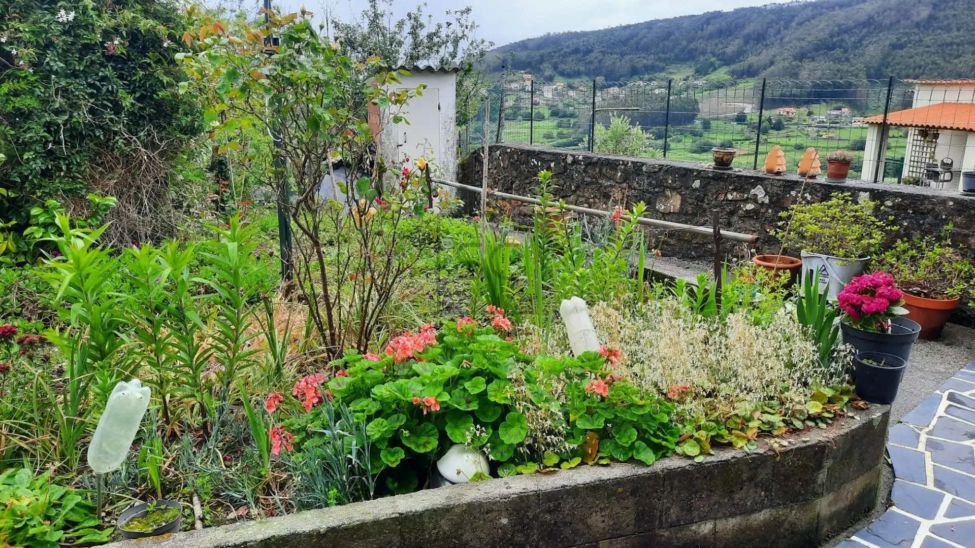 Garden of Houses for sale in Ferrol  with Private garden and Storage room