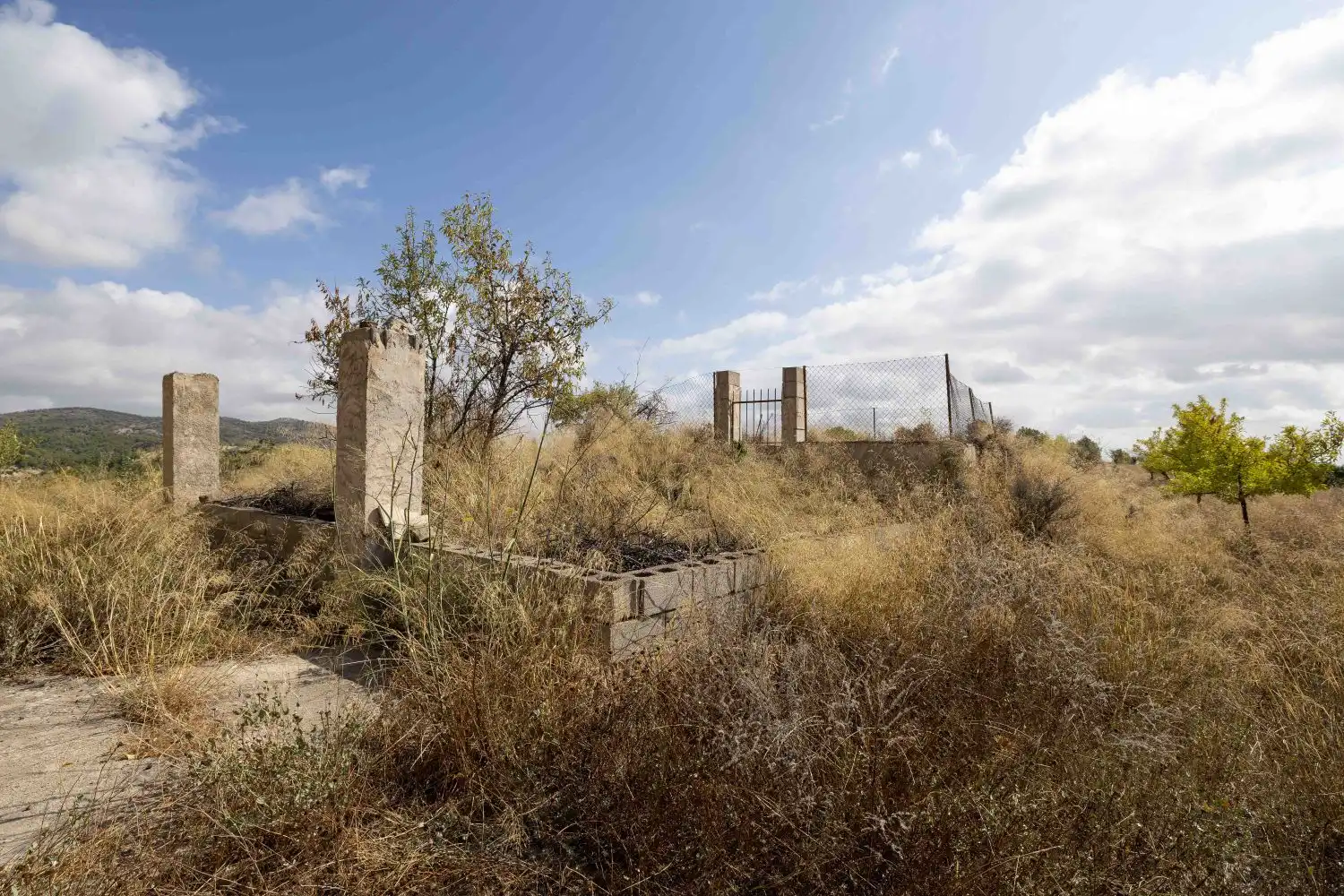 Finca rústica en venta en Mula