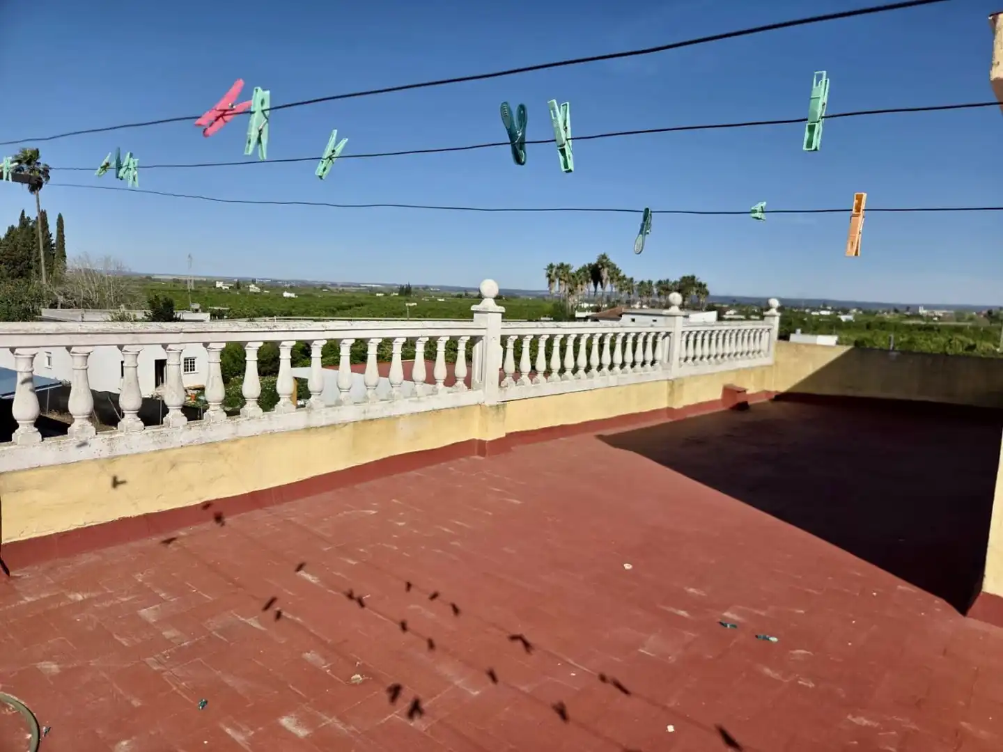 Terraza de Finca rústica en venta en La Algaba