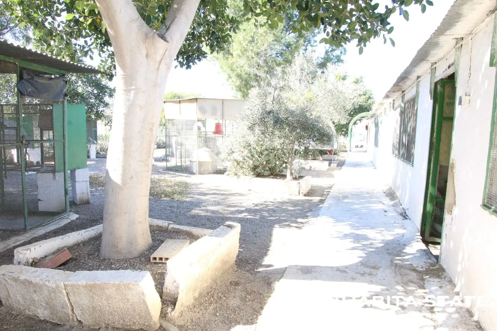 Exterior view of Residential for sale in Pechina