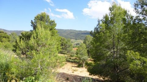 16.000M2 EN IBI, POSIBILIDAD DE CONSTRUIR, imagen 4