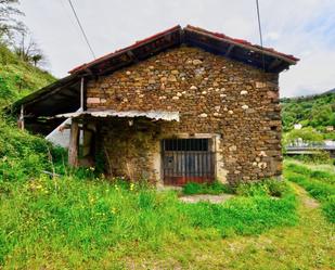Vista exterior de Casa o xalet en venda en Mieres (Asturias) amb Piscina