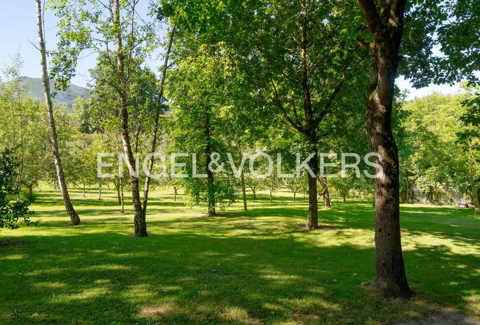 Casa o chalet en venta en Nava con Calefacción, Jardín privado y Parquet